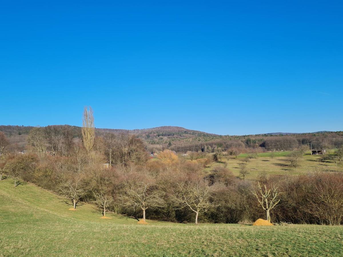 Geisfeld Hof 63公寓 外观 照片